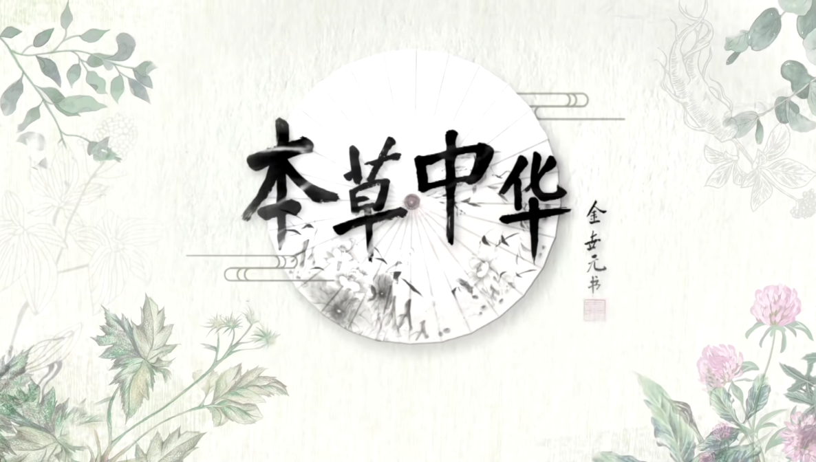 说明: 本草中华1